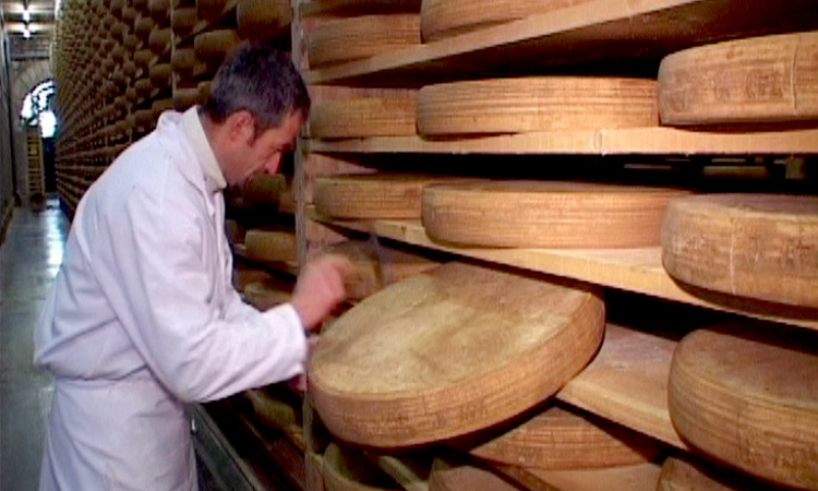 Du lait aux yaourts et aux fromages - Affinage des fromages de Comté - 4mn 19s